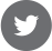 social-icon-large-twitter