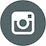 social-icon instagram